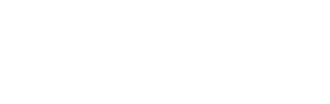 Wireless GmbH Logo